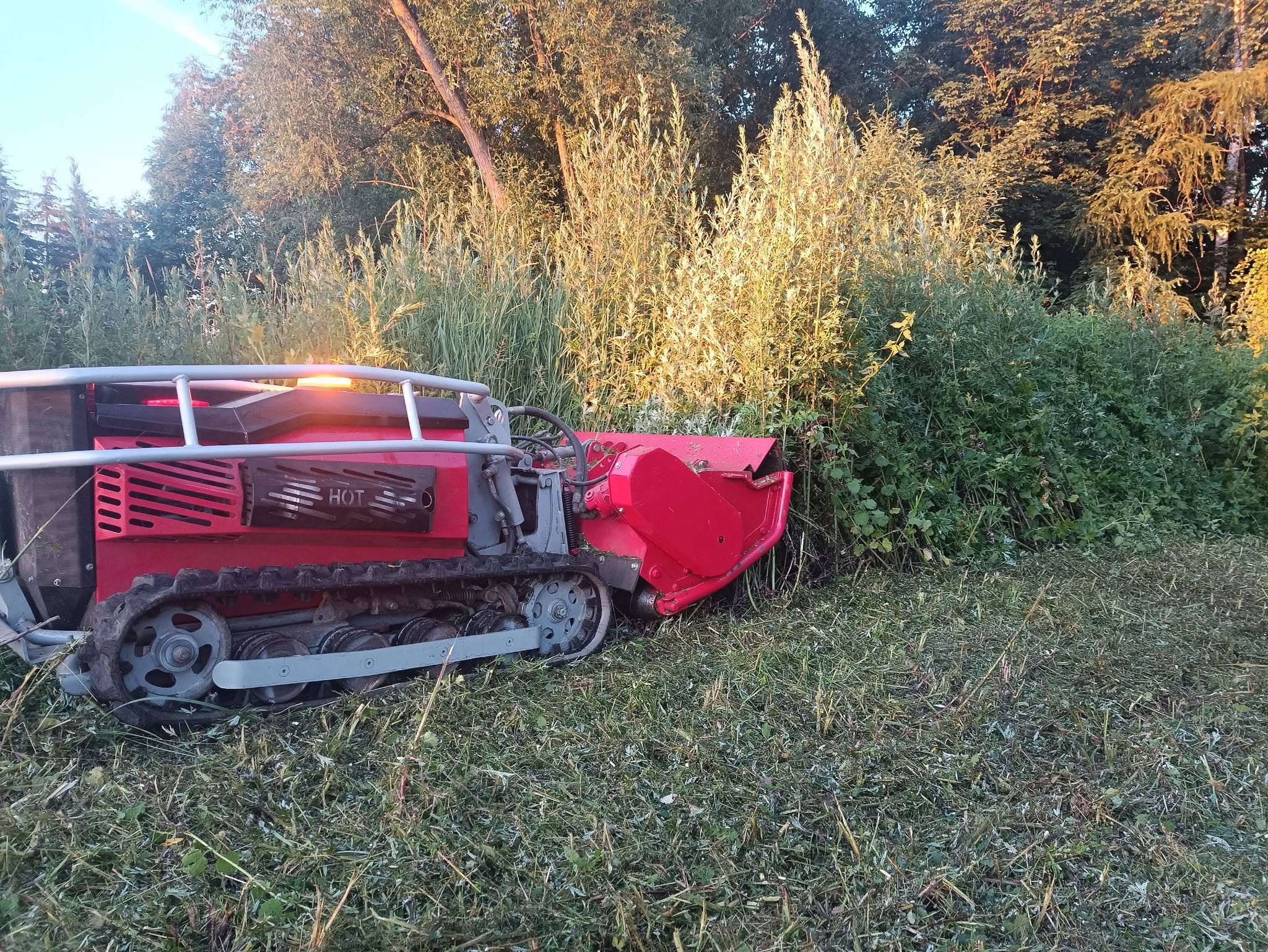 Realizacja - Wycinka wysokich zarośli